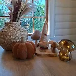 Violet Et 4p Nature Et Cocooning Chalet *