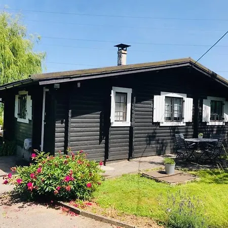 Violet Et 4p Nature Et Cocooning Tinlot