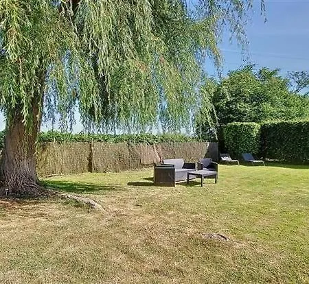 Violet Et 4p Nature Et Cocooning