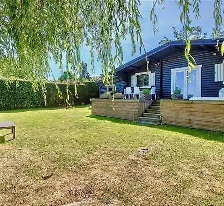 Violet Et 4p Nature Et Cocooning * Tinlot