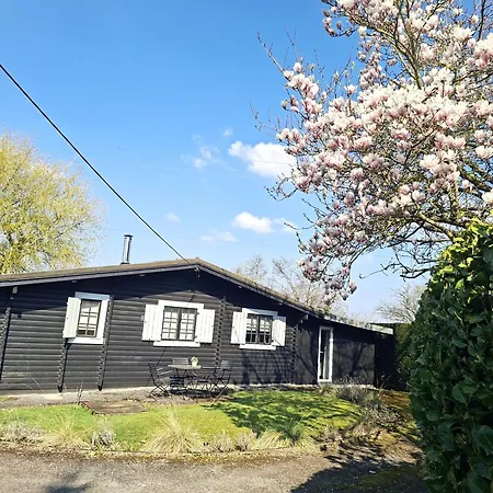 Violet Et 4p Nature Et Cocooning Chalet Tinlot