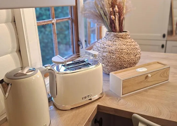 Violet Et 4p Nature Et Cocooning Chalet Tinlot