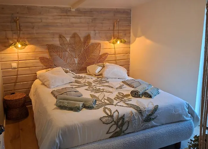 Violet Et 4p Nature Et Cocooning