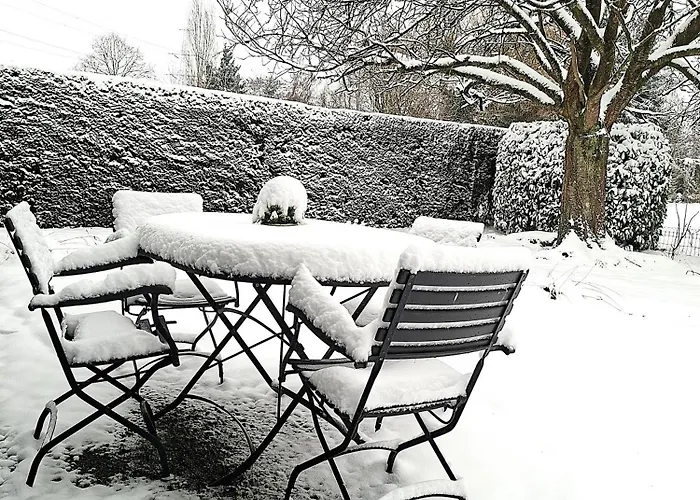 Violet Et 4p Nature Et Cocooning Chalet