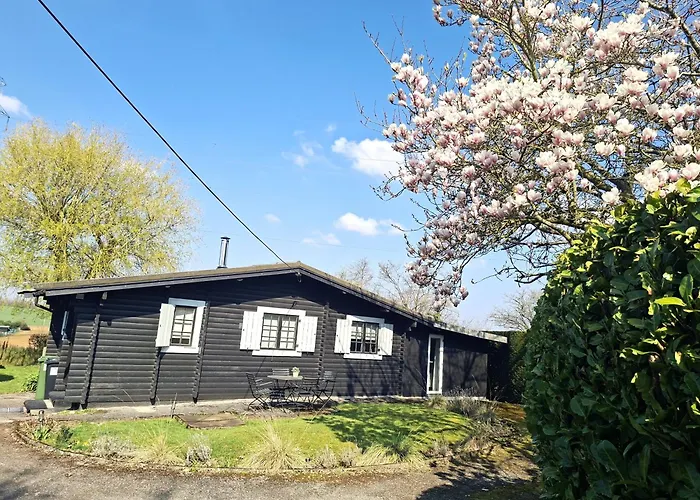 Violet Et 4p Nature Et Cocooning Chalet Tinlot